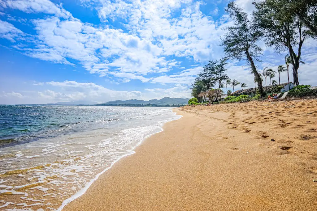 Islander on the Beach 235