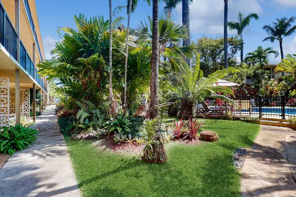 Prince Kuhio 234