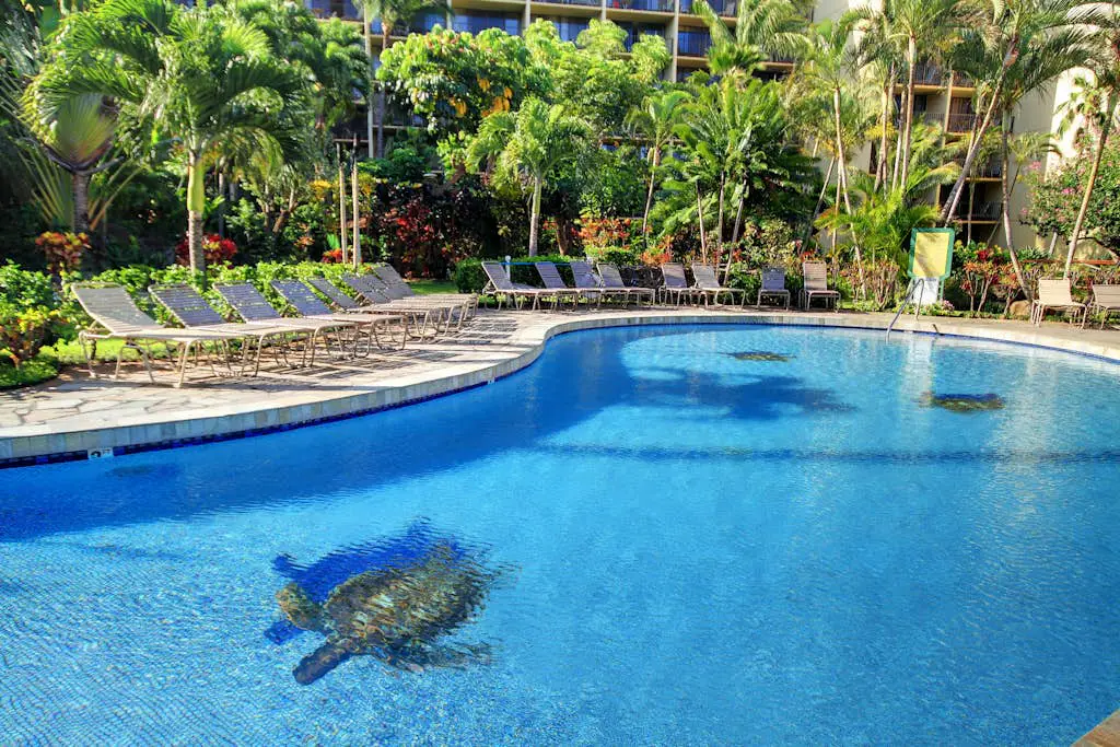 Kaanapali Shores 806