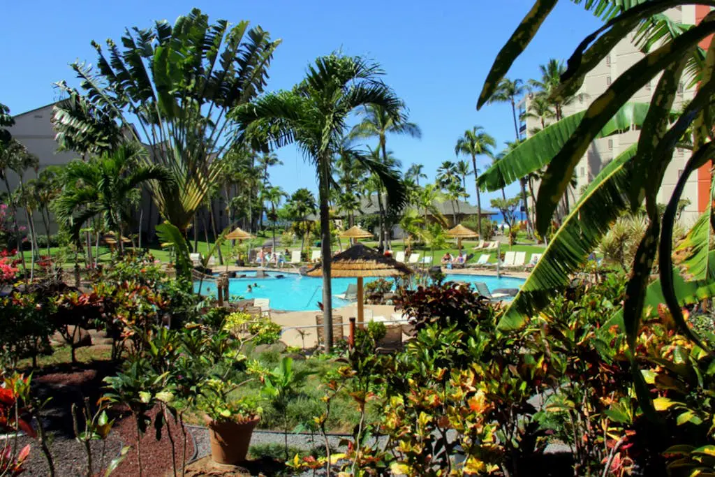 Kaanapali Shores 806