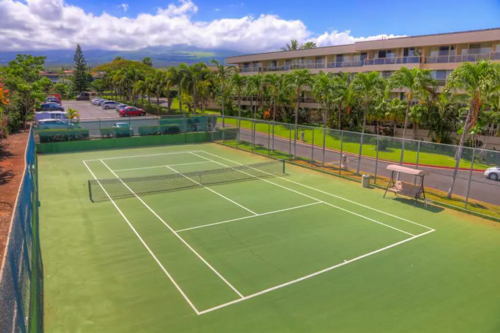 Maui Banyan Q203