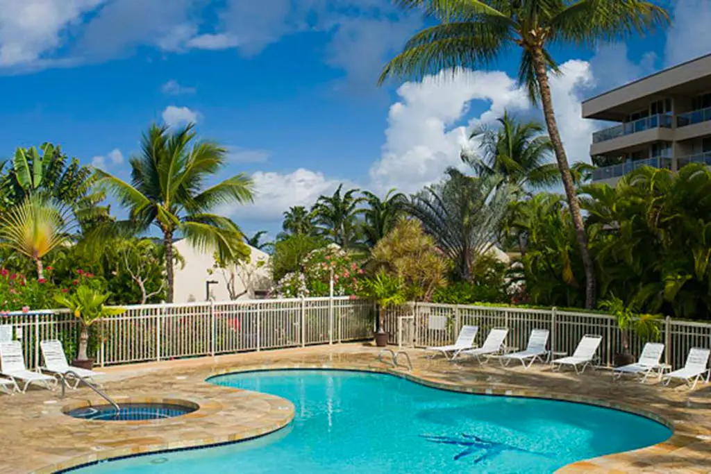 Maui Banyan Q203