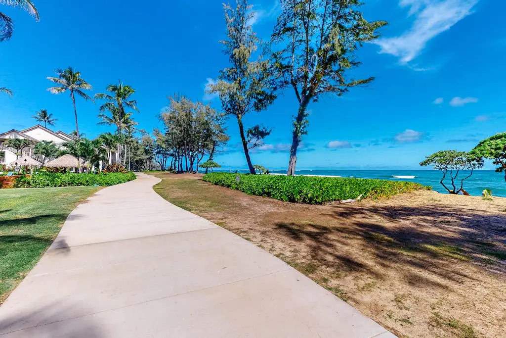 Islander on the Beach 250