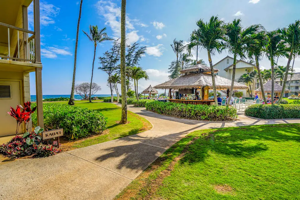 Islander on the Beach 250