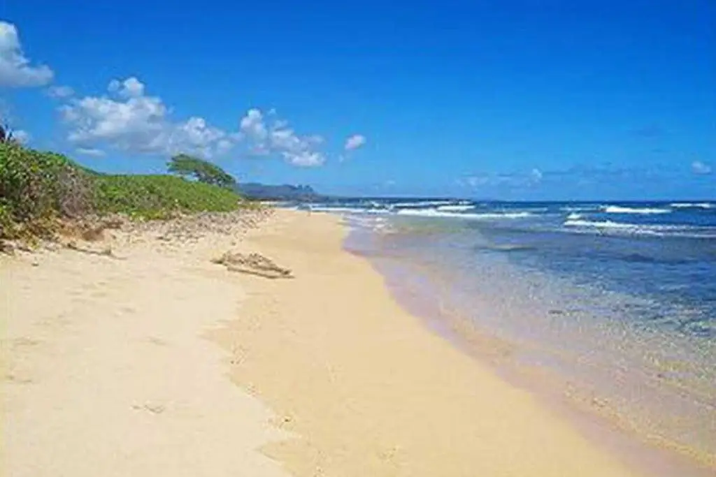 Kauai Beach Resort #1317