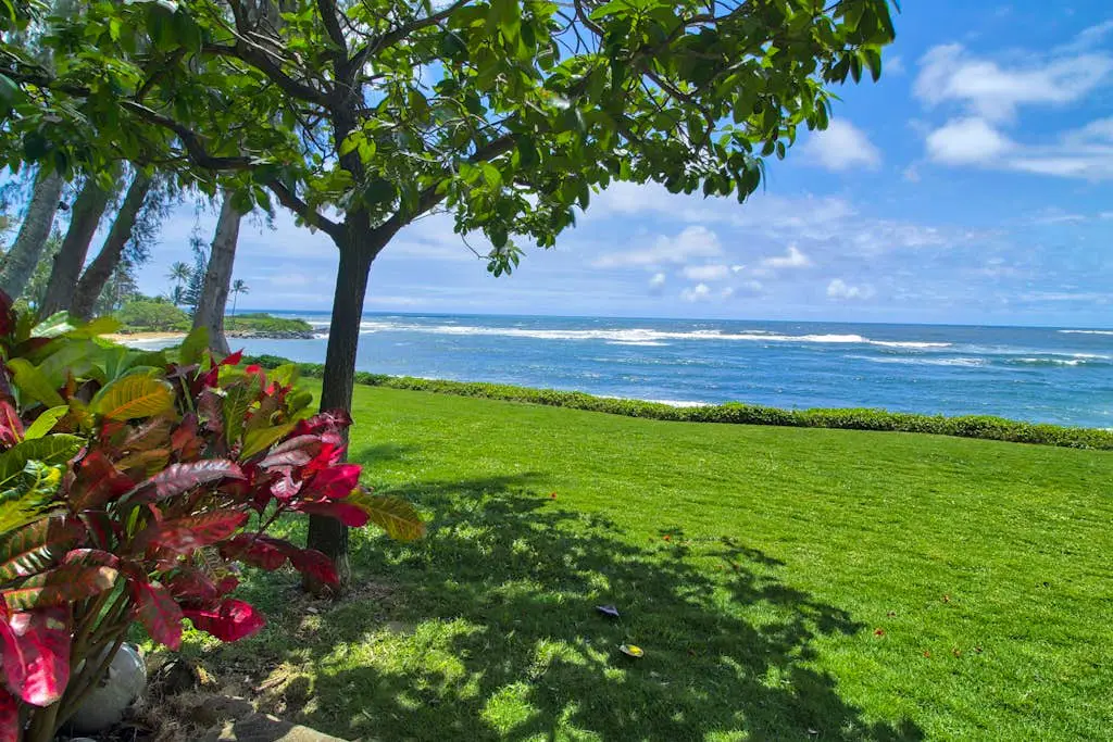 Kapa'a Sands 17