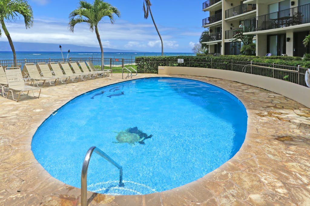 Oceanfront condo with amazing balcony views, pool, near beach