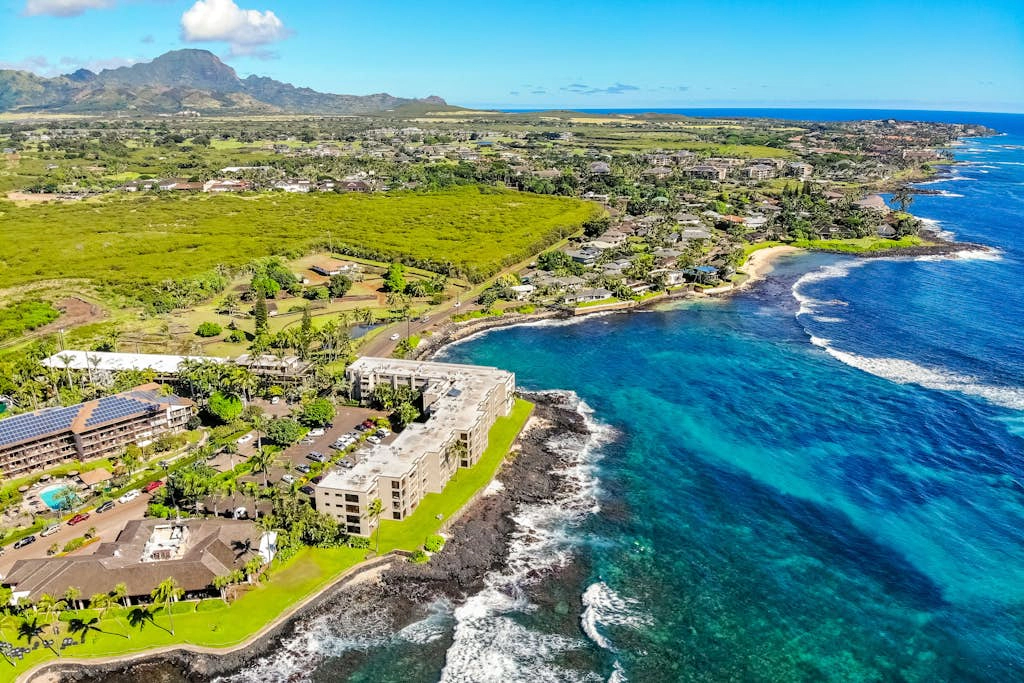 Prince Kuhio 323
