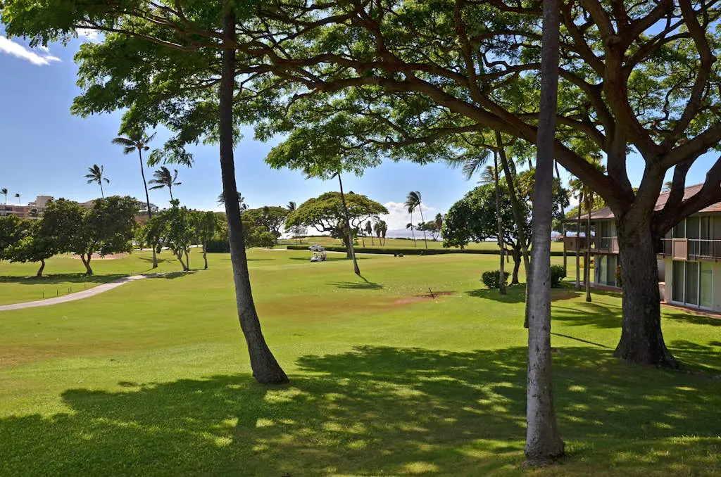 Maui Eldorado Resort G111