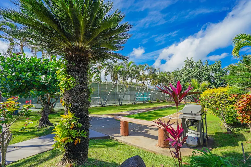 Banyan Harbor I-111