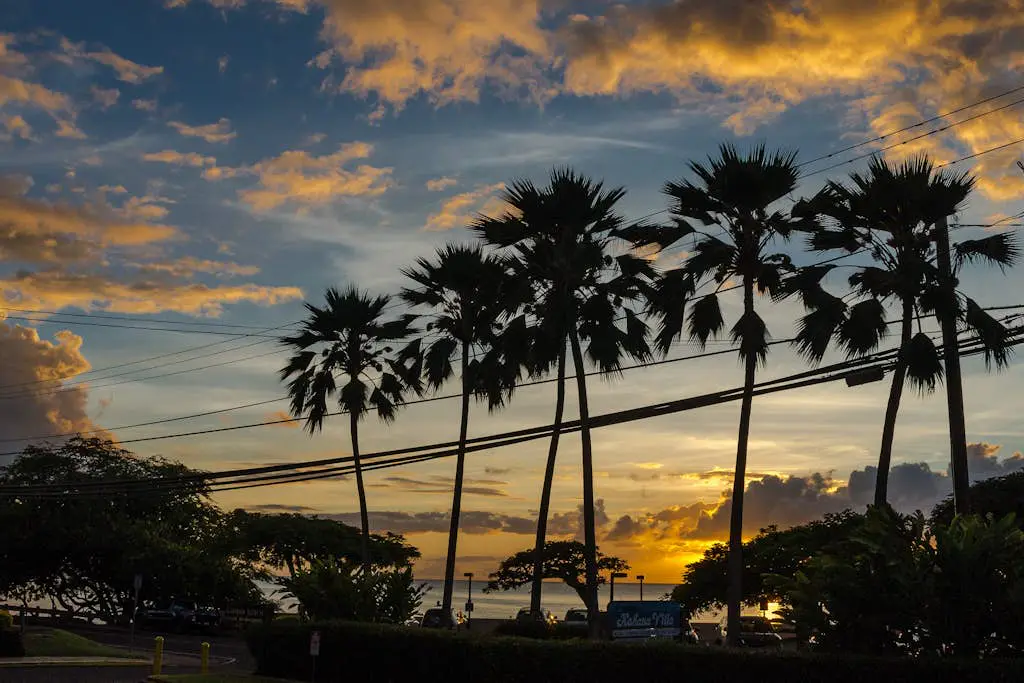 Kaanapali Royal F303