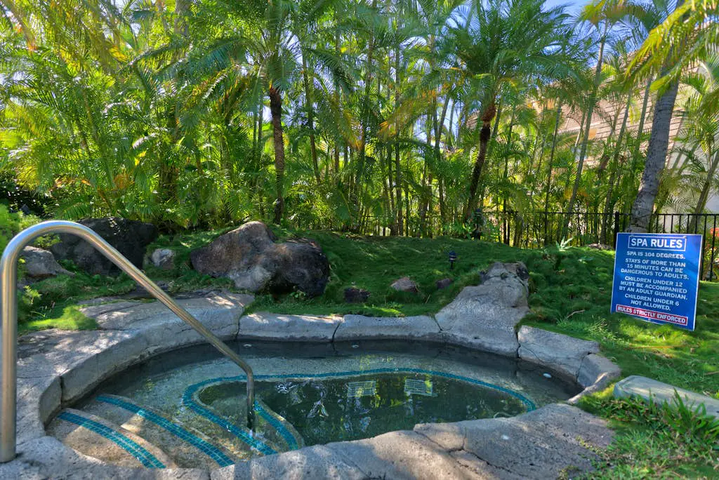 Maui Kamaole L208