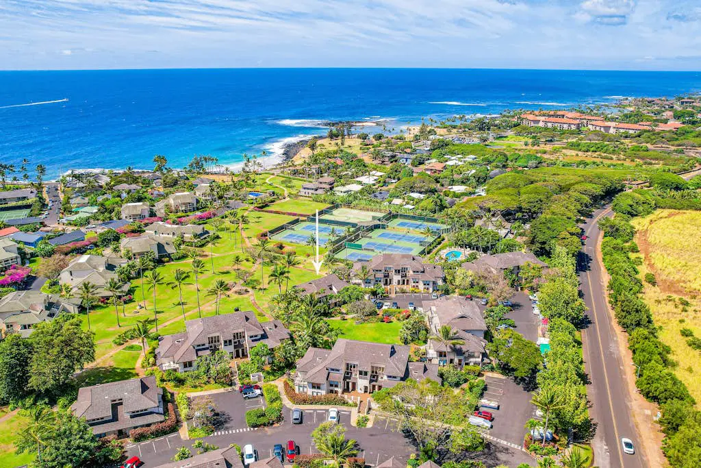 Kahala #214