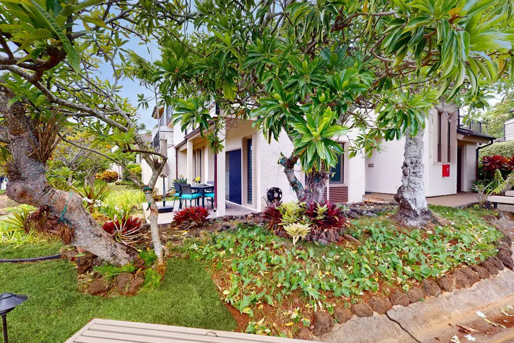 Kahala #214