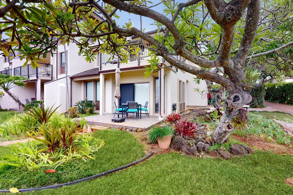Kahala #214