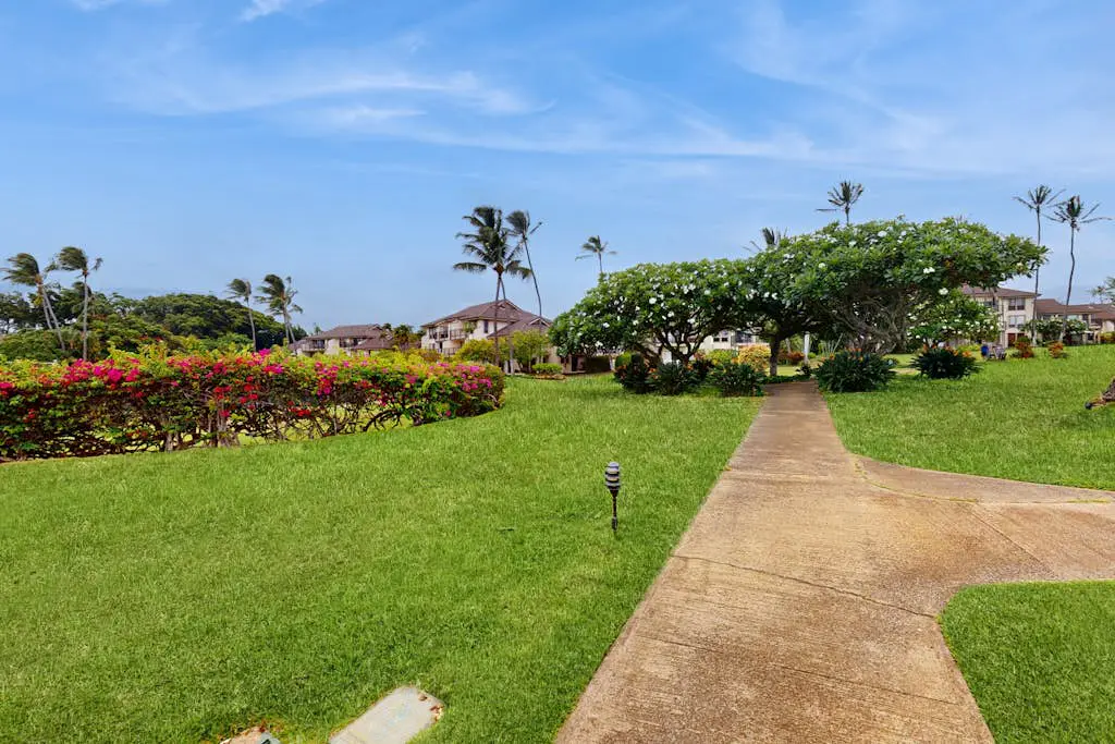 Kahala #214