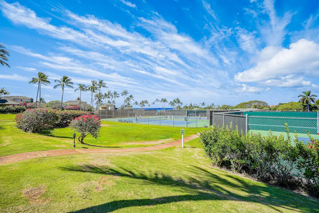 Kahala #214