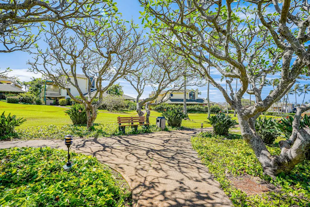 Kahala #214