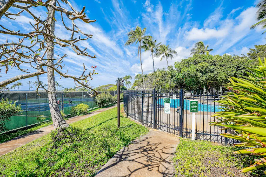 Kahala #214