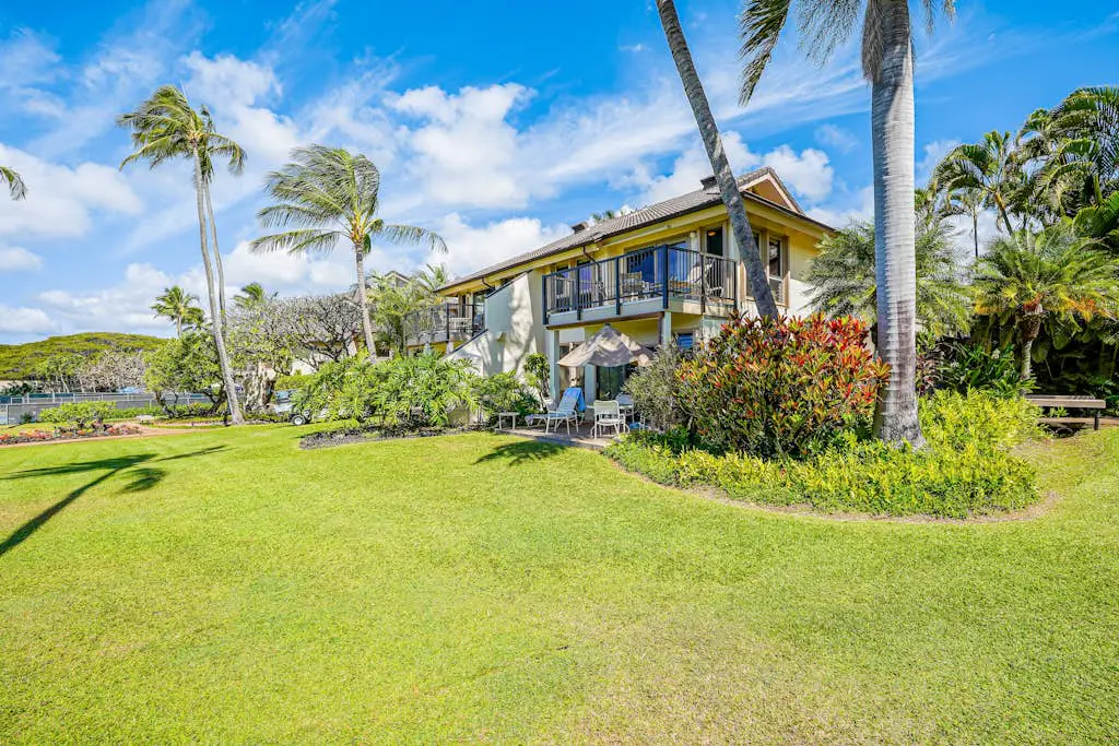 Kahala #214