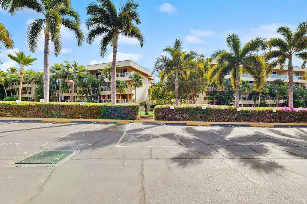 Maui Banyan Q203 & Q203A