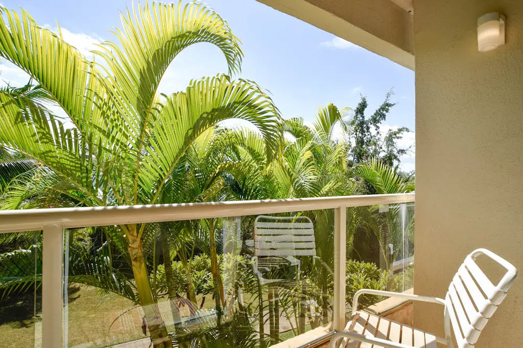 Maui Banyan Q203 & Q203A