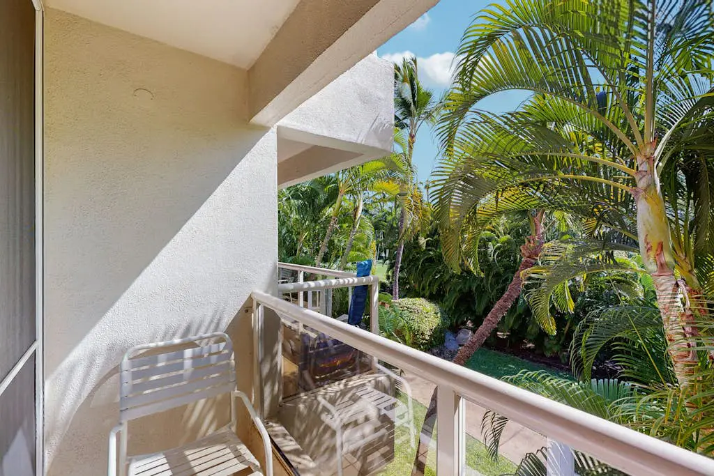 Maui Banyan Q203A