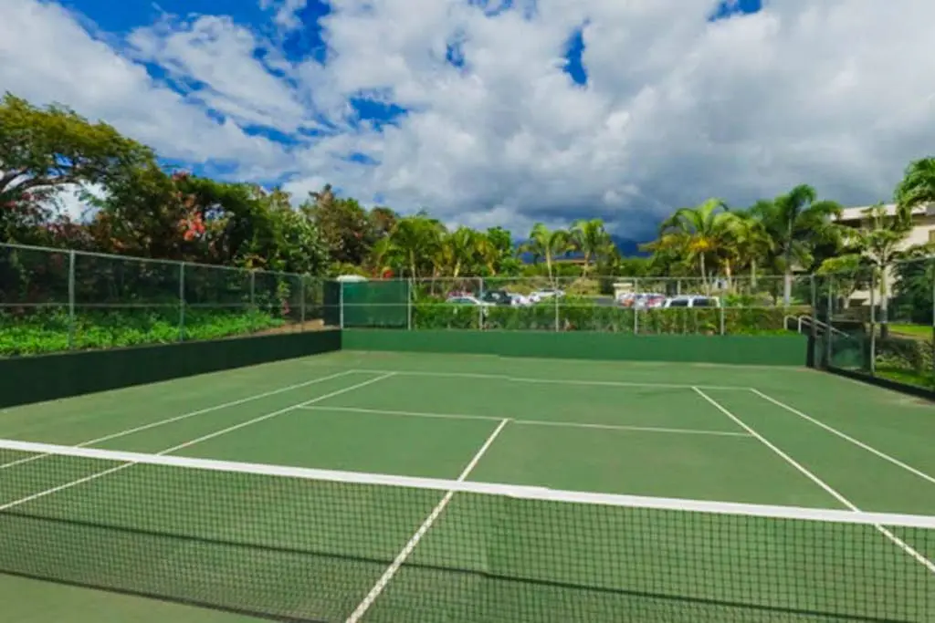 Maui Banyan Q203A