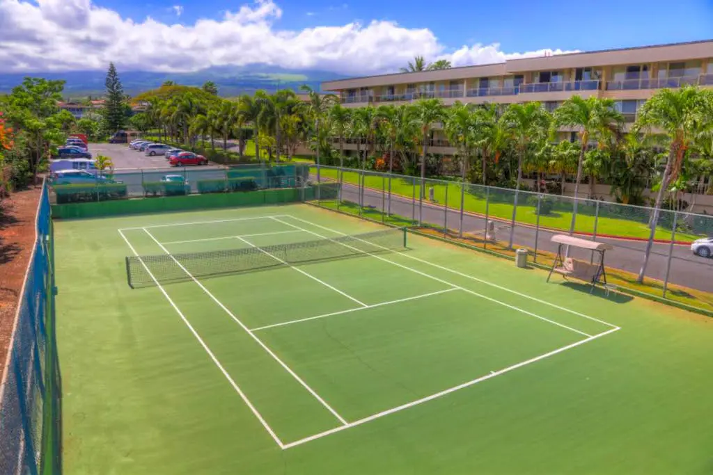 Maui Banyan Q203A