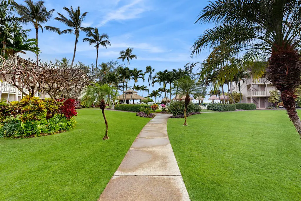 Islander on the Beach 204