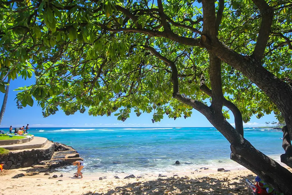 Kuhio Shores 212