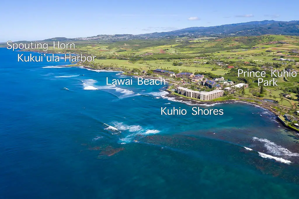 Kuhio Shores 212