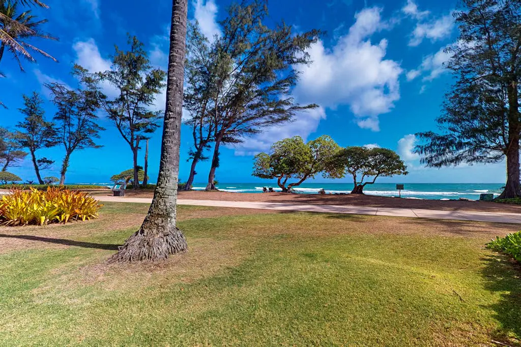 Islander on the Beach 164