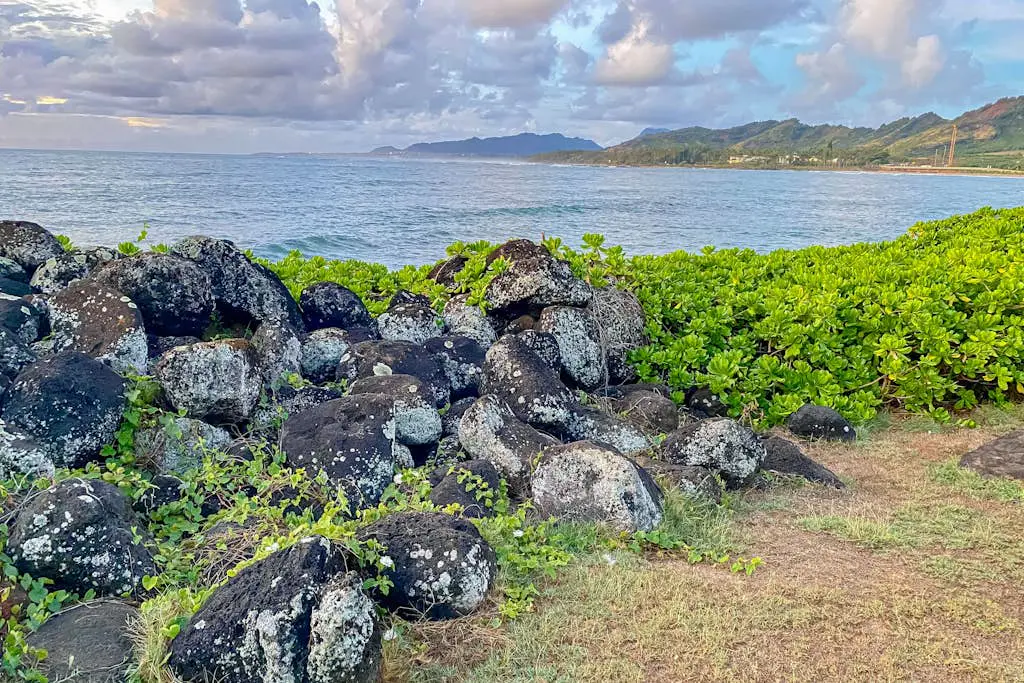 Islander on the Beach 164