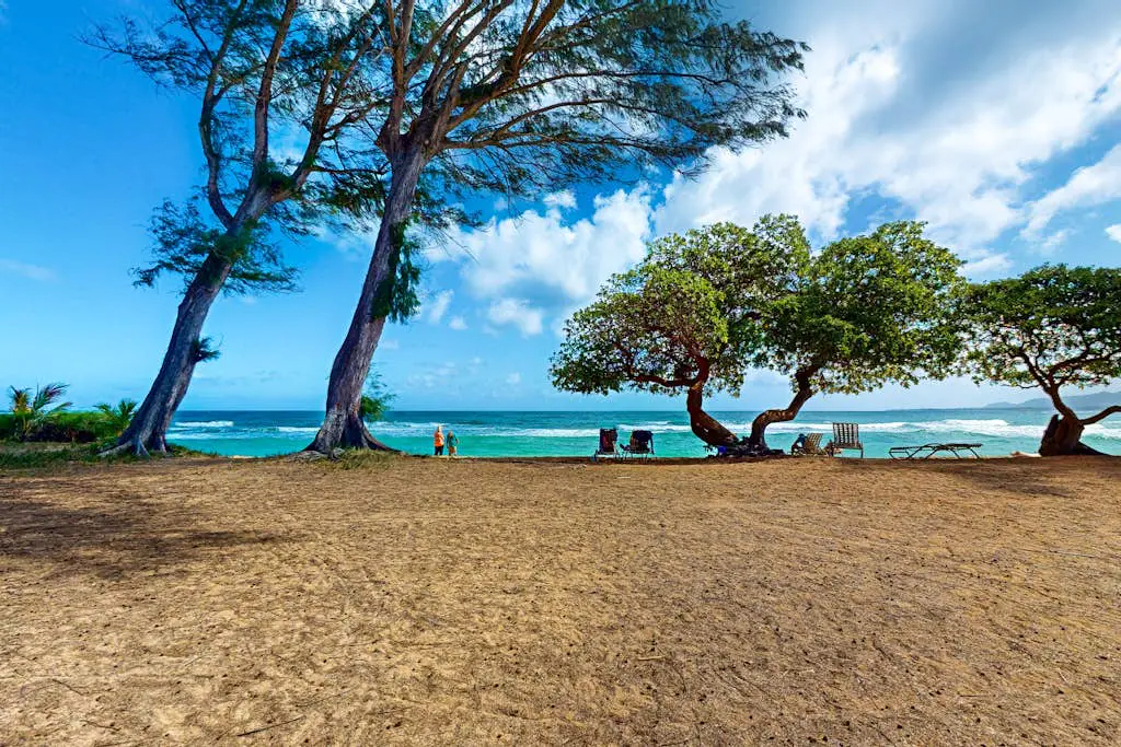Islander on the Beach 164