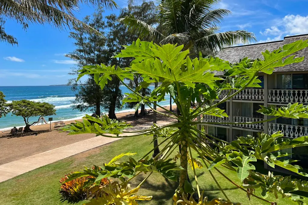 Islander on the Beach 164