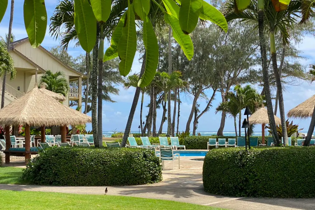 Islander on the Beach 164