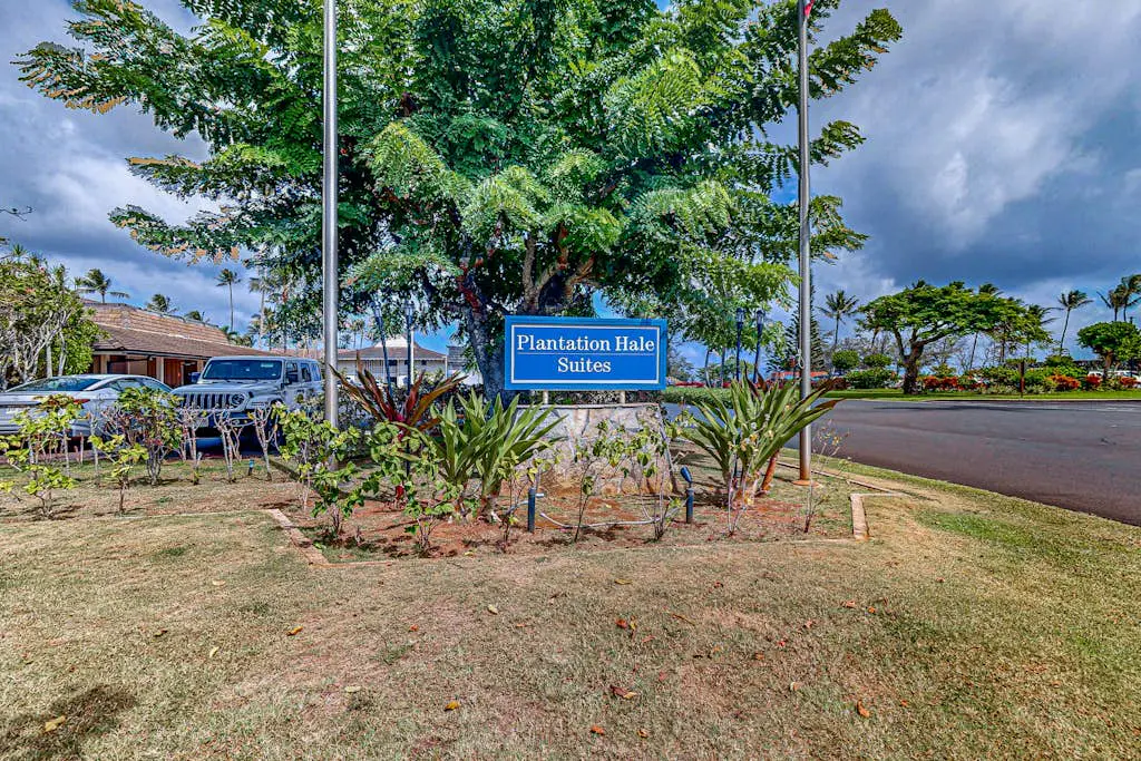 Plantation Hale F5