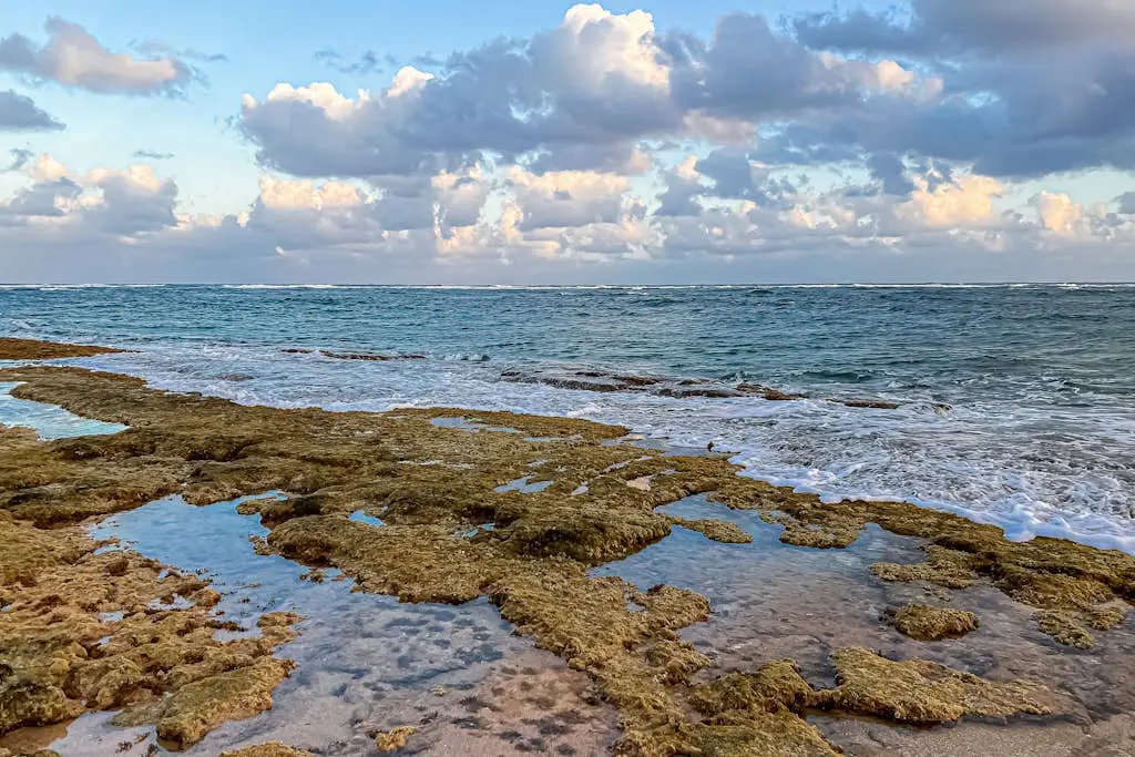 Plantation Hale Ohana Retreat