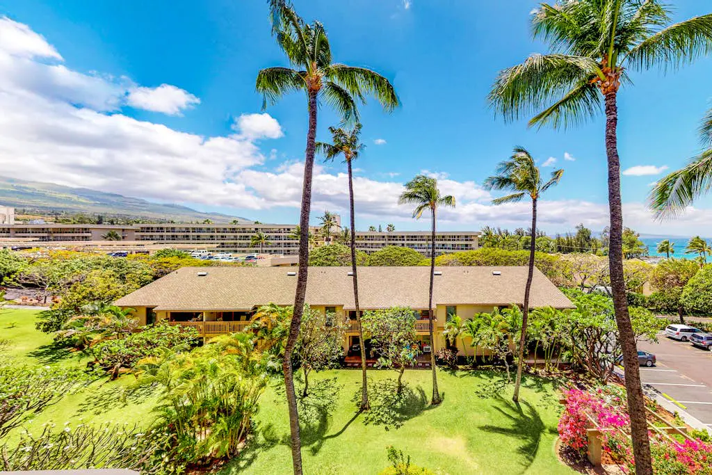 Kihei Akahi D313