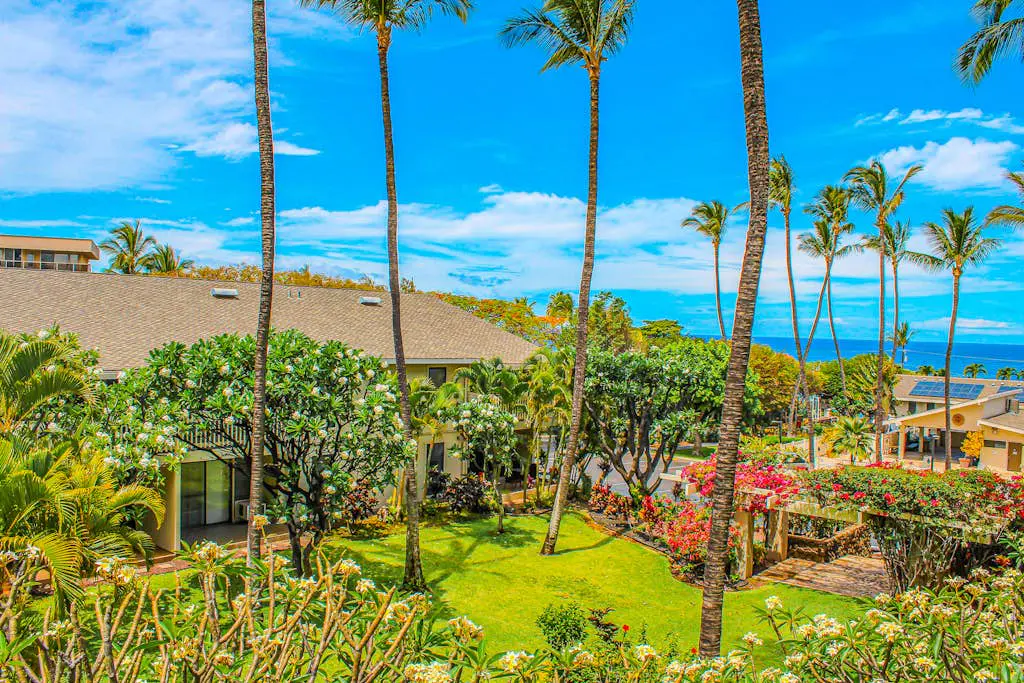 Kihei Akahi D313