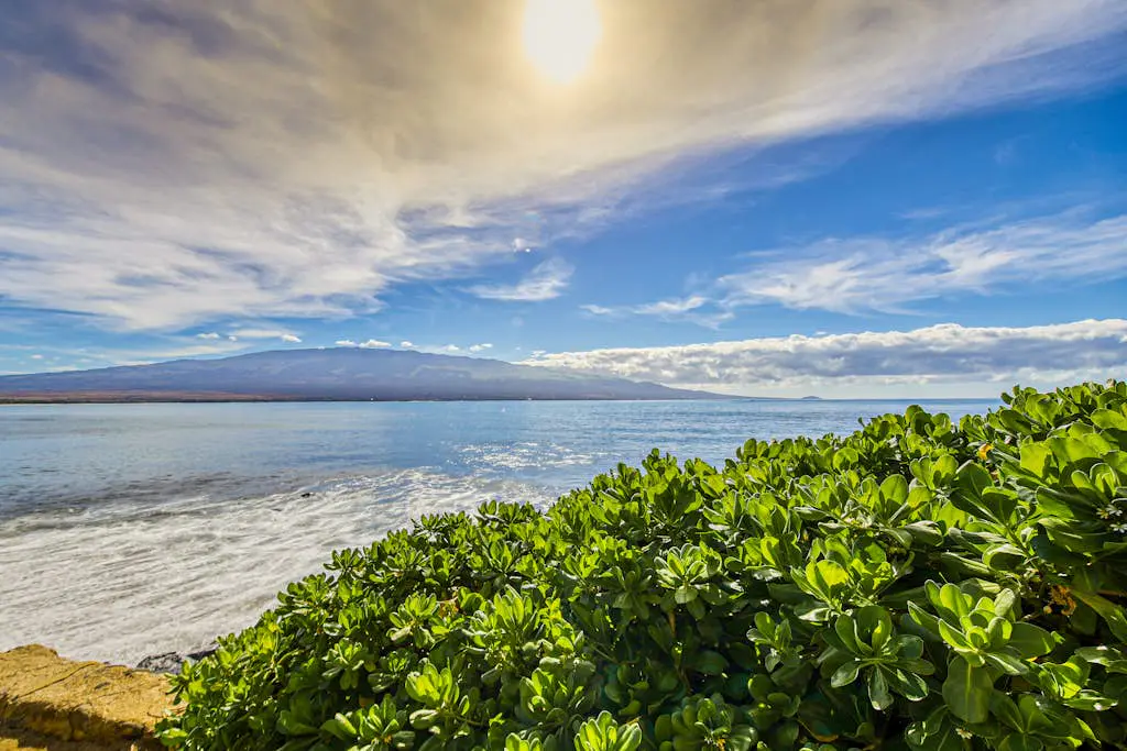 Island Sands Resort 602
