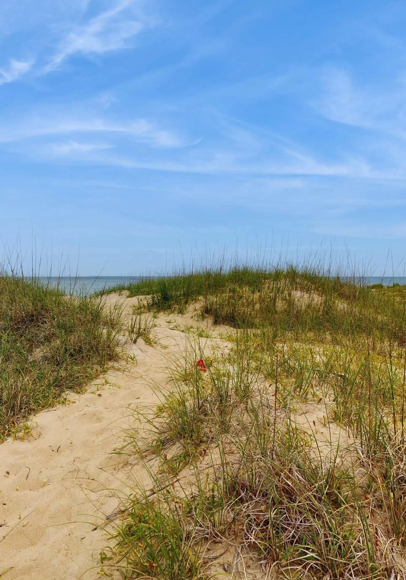 Sandbridge Gem with Sunroom, Private Pool & Yard