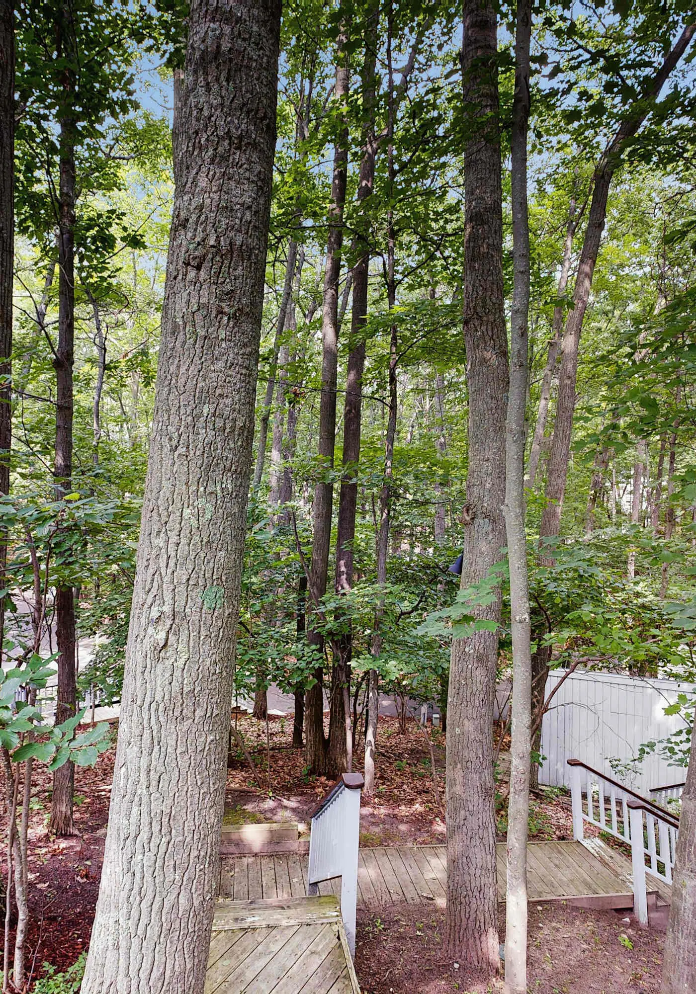 Condo in Glen Arbor with Lake Michigan sunset views, fireplace, deck, washer & dryer
