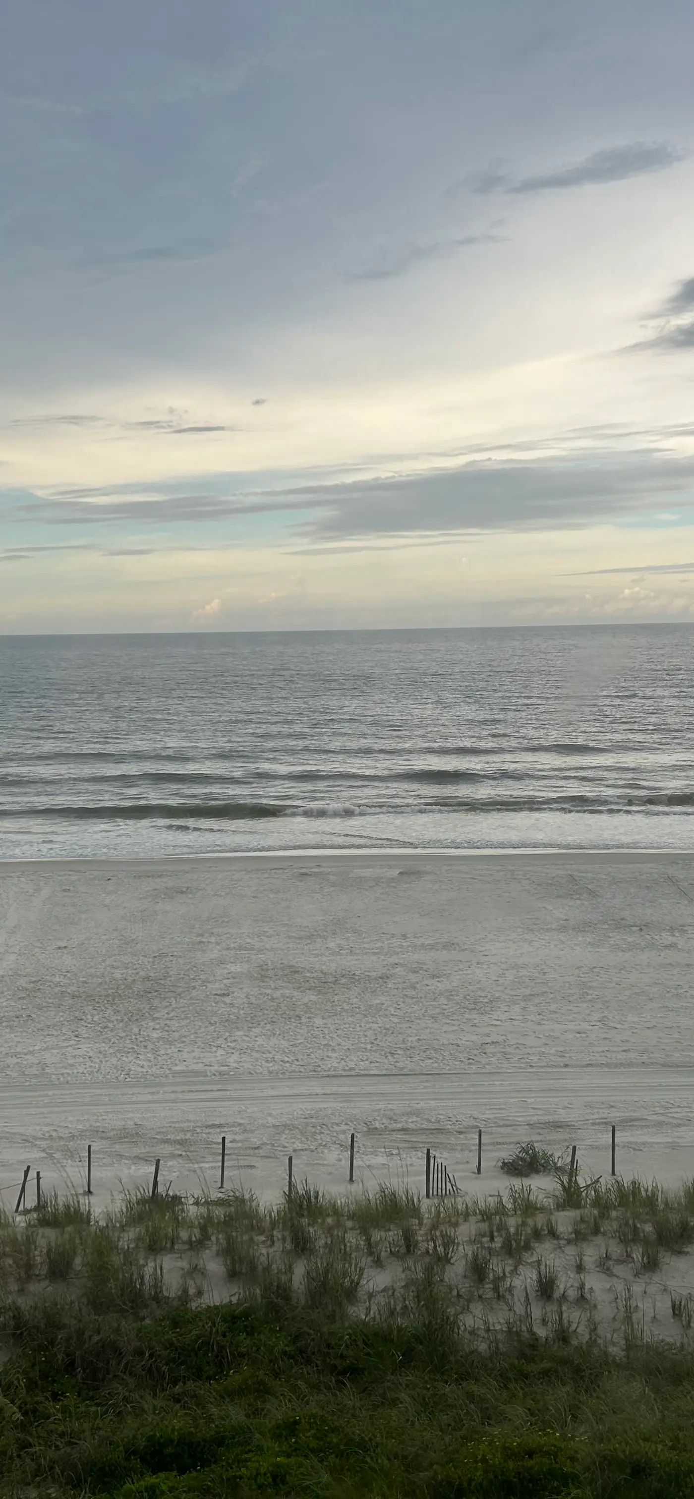Sand Dollar III-402