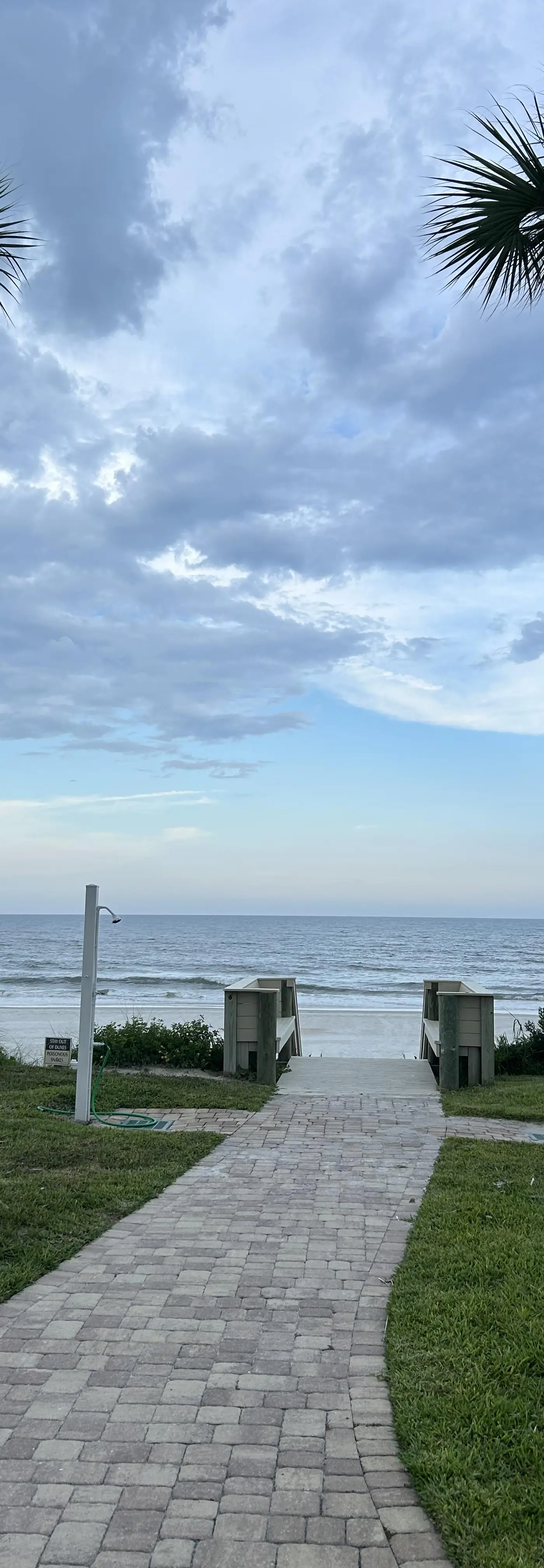 Sand Dollar III-402