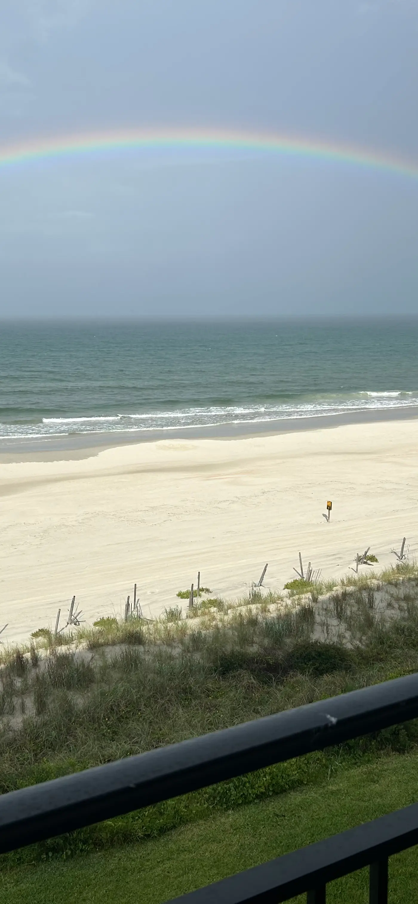 Sand Dollar III-402