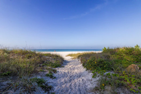 Cozy retreat, steps away from Gulf and beaches, dog friendly, AC