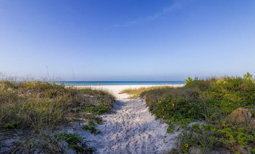 Cozy retreat, steps away from Gulf and beaches, dog friendly, AC