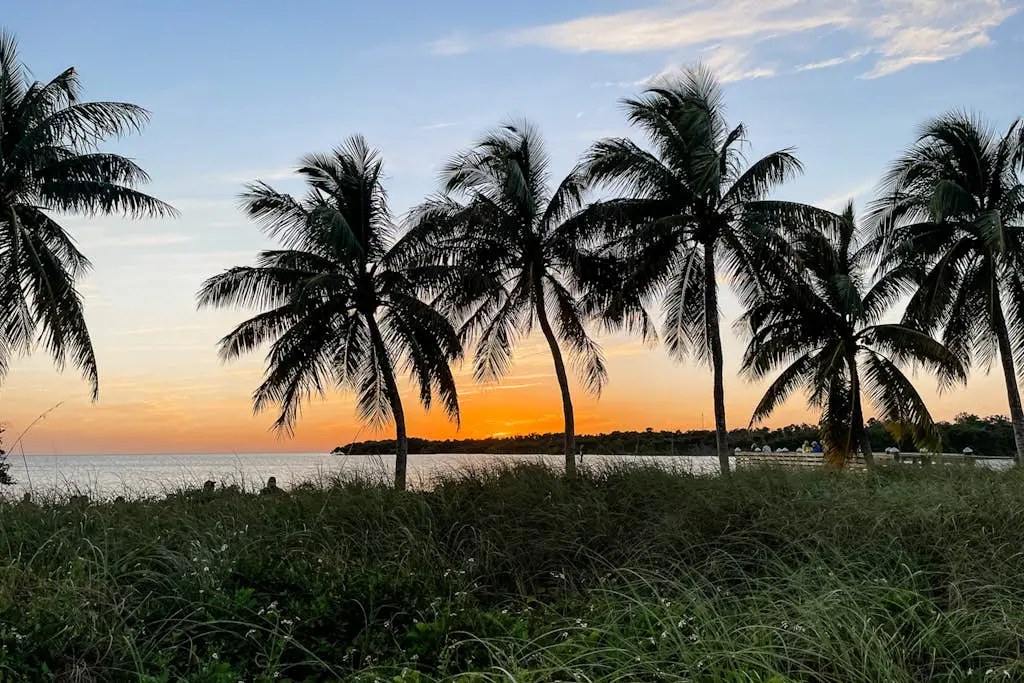 Lido Beach Respite